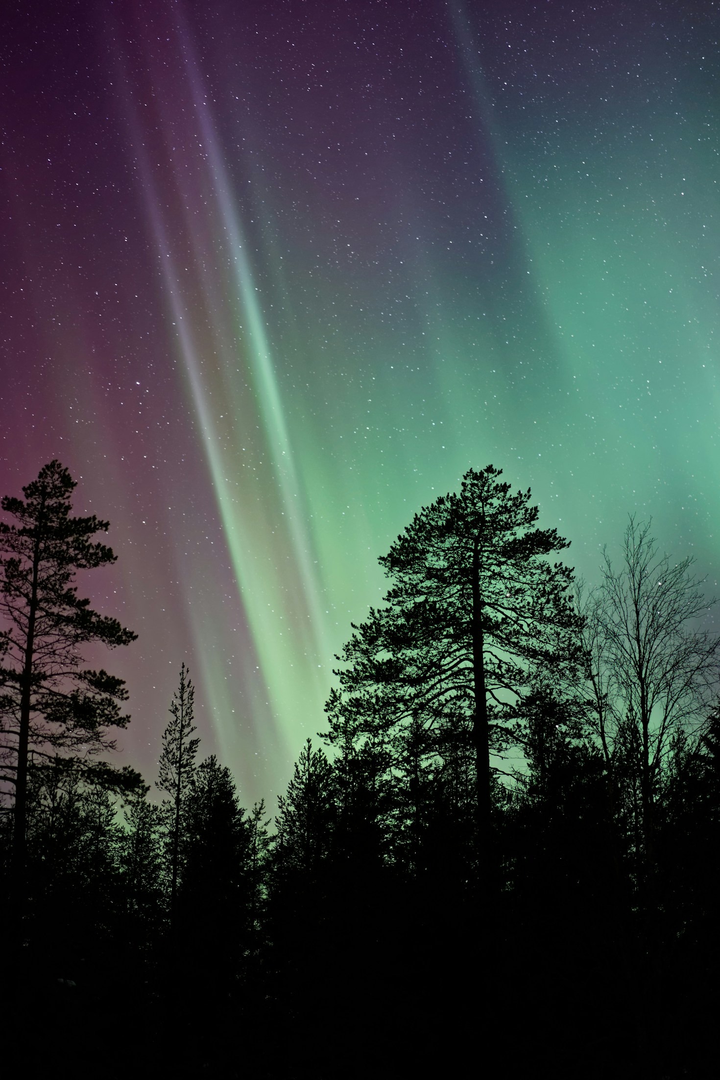 Hur Aurora Trance skapar en arktisk ljudresa